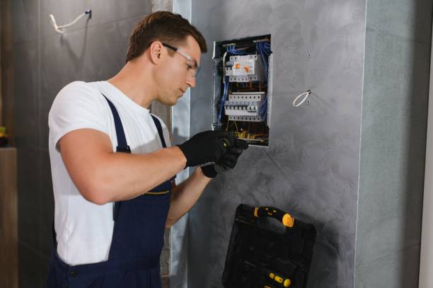 Best Electric Panel Repair  in Apple Mountain Lake, VA